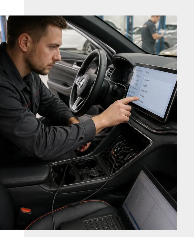Профессиональная русификация BYD SONG Plus в Рубцовске